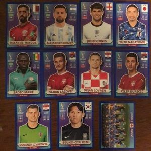 Panini World Cup stickers
